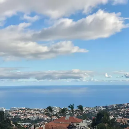 Cozy & Patio In Lägenhet Funchal (Madeira)